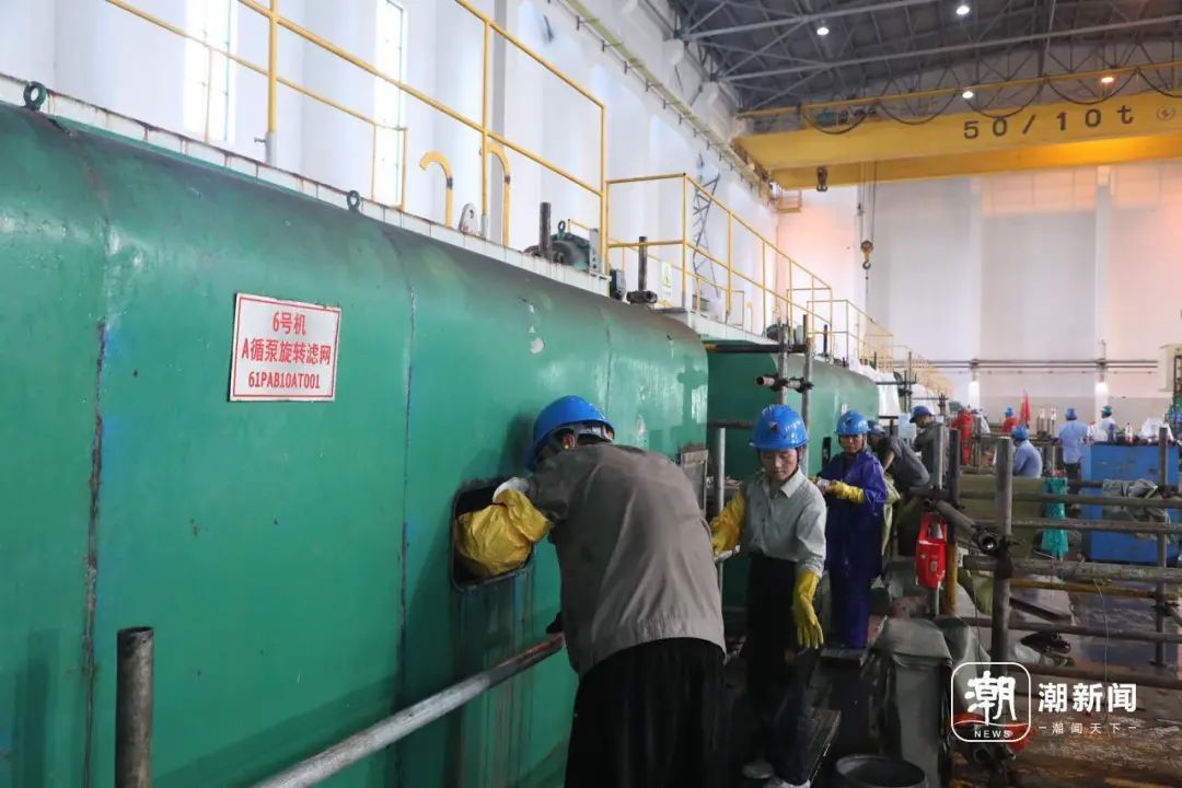 抓不完！一发电厂遭"海蜇危机" 已抓21万斤