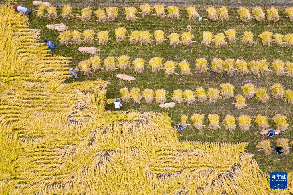 文化中国行&middot;传统村落人文影像志｜黑龙江上官地村——一个建在火山岩上的“稻田村”