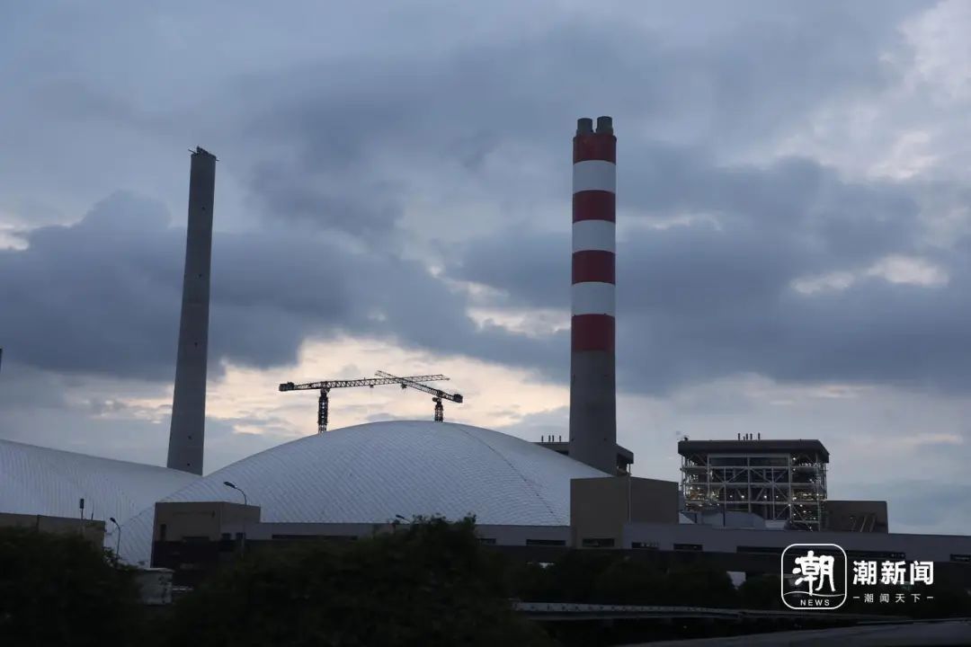 抓不完！一发电厂遭"海蜇危机" 已抓21万斤