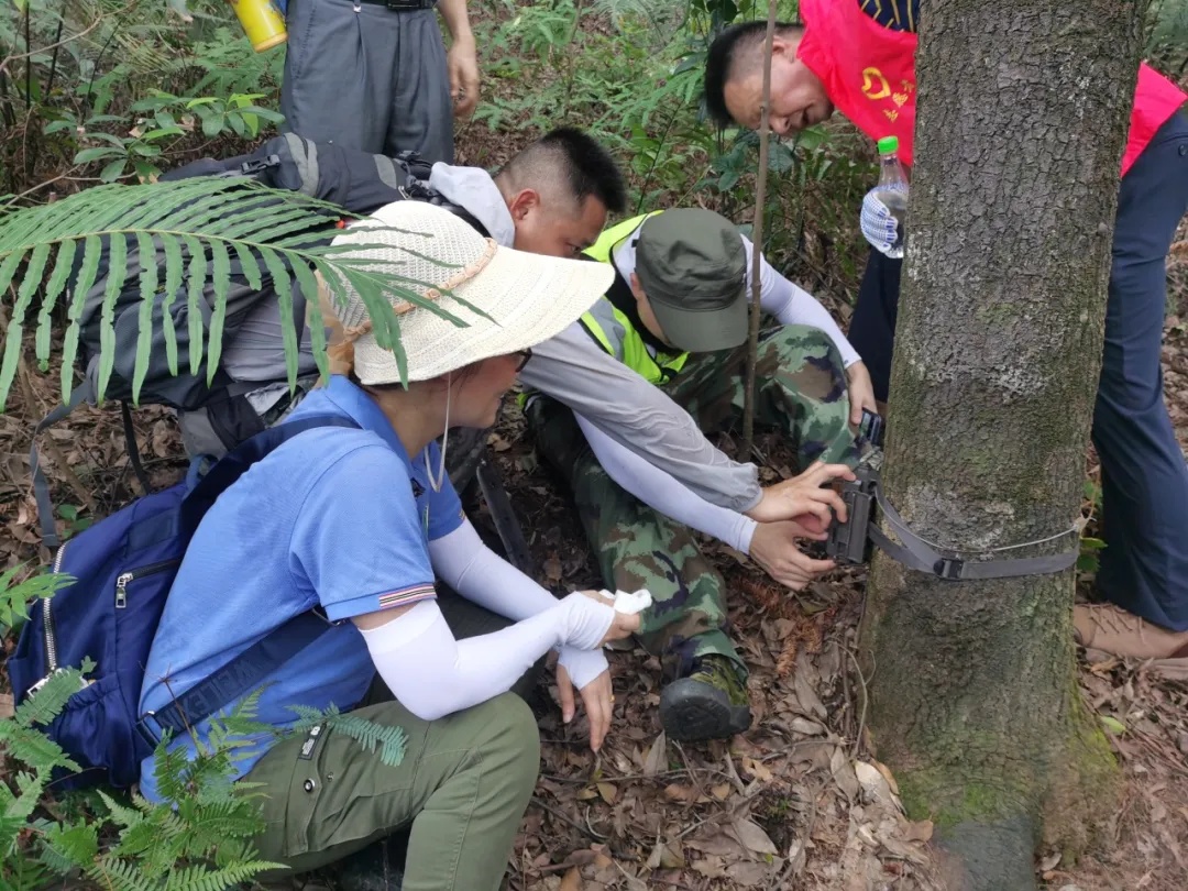 极度濒危,这里101个洞穴被发现 极度濒危,这里101个洞穴被发现