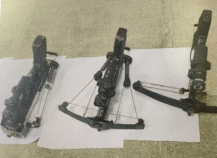 惯偷自制毒镖437支,弓弩射杀盗狗!法院判了 惯偷自制毒镖437支,弓弩射杀盗狗!法院判了