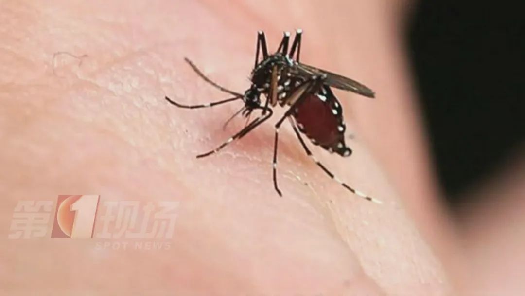 深圳18个社区被划入风险区!疾控中心提醒→ 深圳18个社区被划入风险区!疾控中心提醒→