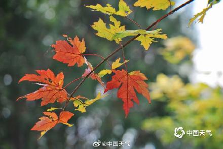 秋天来了！北京官宣9月20日正式入秋 较常年偏晚一周