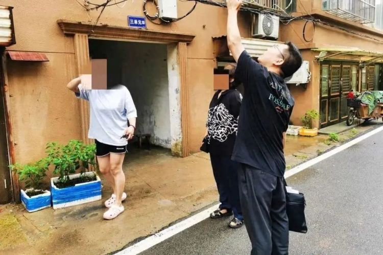 “天降”猫咪砸伤路人，后续医疗费引争议，法院判了