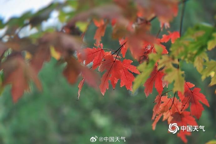 北京今年入秋为何晚7天? 明显降雨降温在路上了! 北京今年入秋为何晚7天? 明显降雨降温在路上了!