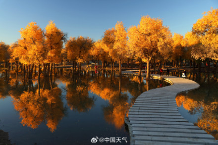 金九银十！2024全国赏秋地图出炉 十大推荐地带你体验绝美秋色