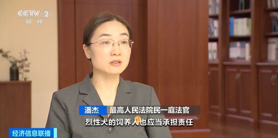 禁养烈性犬伤人由谁担责？司法解释：犬主承担全部责任