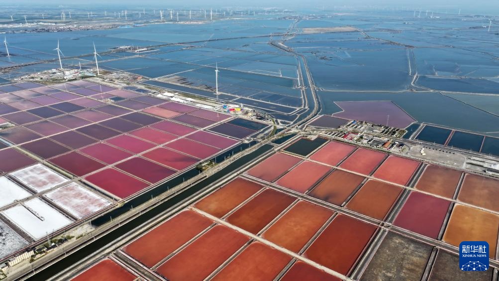 国道之行 海阔天空丨从一滴海水到“百味之王”——海盐收获记