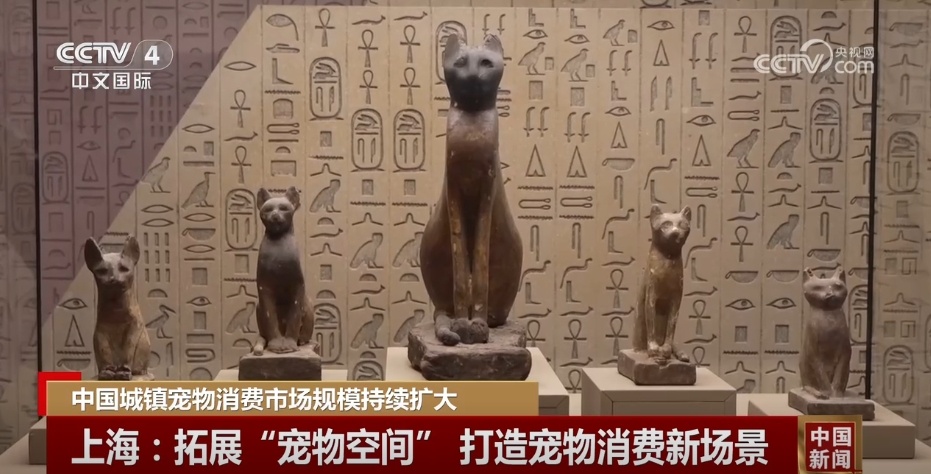 中国城镇宠物消费市场规模持续扩大 多措并举促进行业驶上“快车道” 中国城镇宠物消费市场规模持续扩大 多措并举促进行业驶上“快车道”