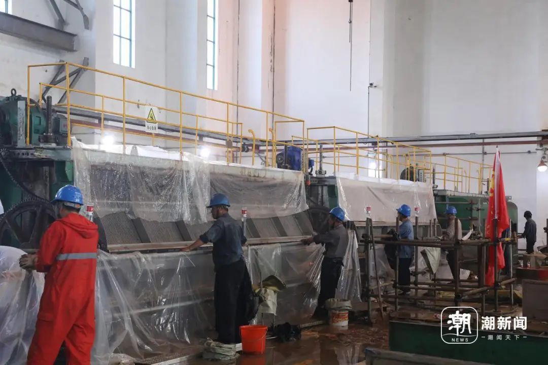 抓不完！一发电厂遭"海蜇危机" 已抓21万斤