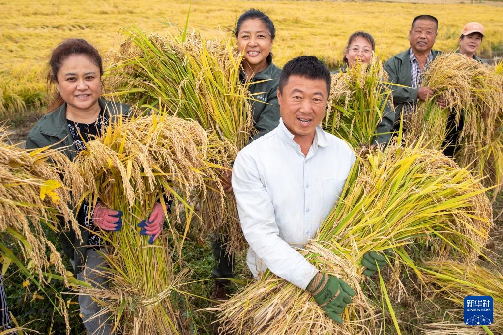 文化中国行&middot;传统村落人文影像志｜黑龙江上官地村——一个建在火山岩上的“稻田村”