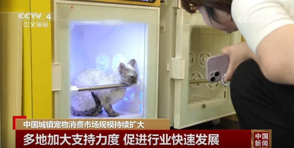 中国城镇宠物消费市场规模持续扩大 多措并举促进行业驶上“快车道” 中国城镇宠物消费市场规模持续扩大 多措并举促进行业驶上“快车道”
