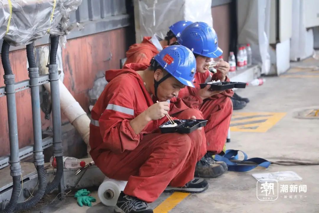 抓不完！一发电厂遭"海蜇危机" 已抓21万斤