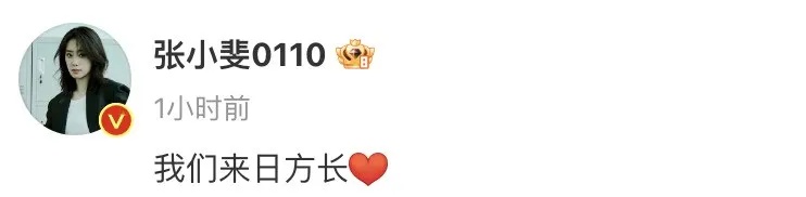 贾玲:不再担任公司职务 贾玲:不再担任公司职务