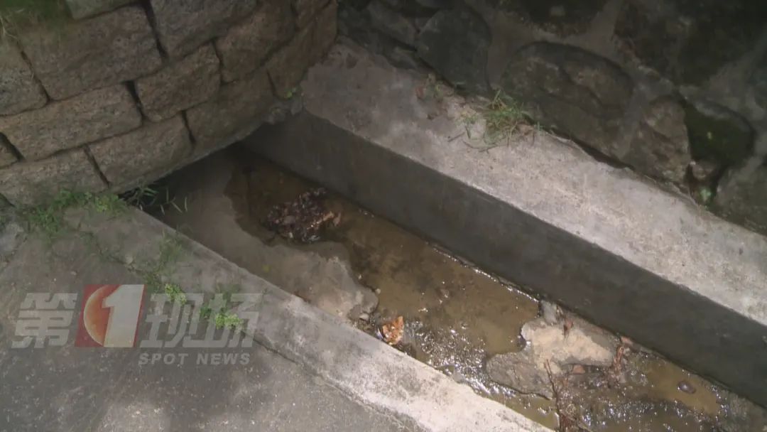 深圳18个社区被划入风险区!疾控中心提醒→ 深圳18个社区被划入风险区!疾控中心提醒→