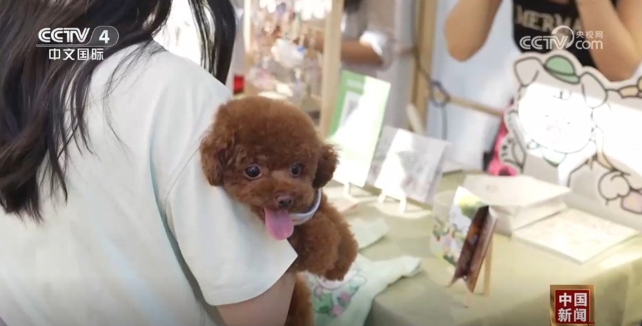 中国城镇宠物消费市场规模持续扩大 多措并举促进行业驶上“快车道” 中国城镇宠物消费市场规模持续扩大 多措并举促进行业驶上“快车道”