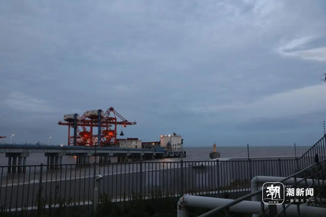 抓不完！一发电厂遭"海蜇危机" 已抓21万斤