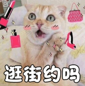 上海商场出现了“毛孩子”专用电梯,有人点赞,有人却说…… 上海商场出现了“毛孩子”专用电梯,有人点赞,有人却说……