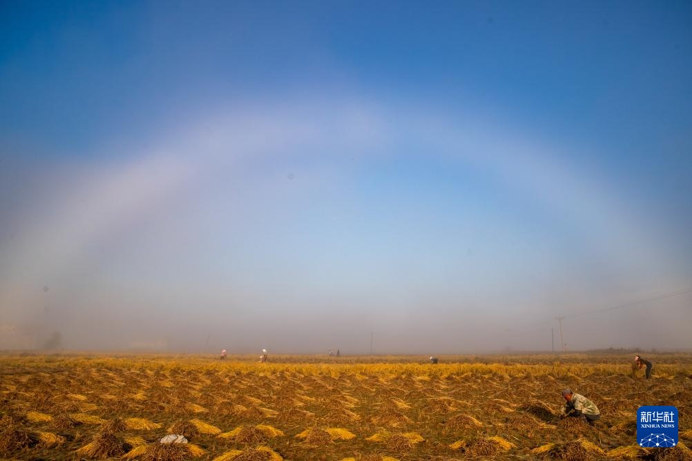 文化中国行&middot;传统村落人文影像志｜黑龙江上官地村——一个建在火山岩上的“稻田村”