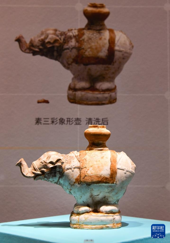 新华全媒+｜探秘“深蓝宝藏”——南海西北陆坡一二号沉船考古成果特展