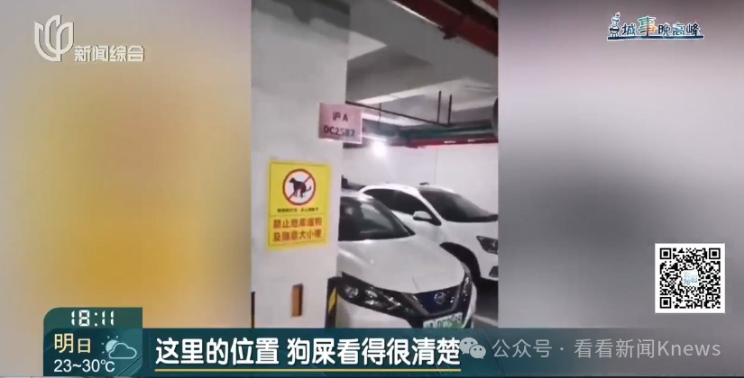 在禁止标语和监控下公然作案 地下车库成狗厕所了?上海一小区居民直呼太恶心! 在禁止标语和监控下公然作案 地下车库成狗厕所了?上海一小区居民直呼太恶心!