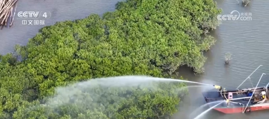 中国新地标 | 通江达海 平陆运河踏“绿”而行绘新景