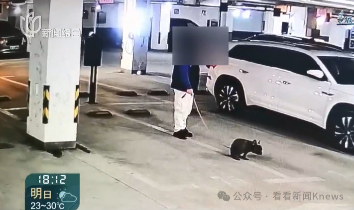 在禁止标语和监控下公然作案 地下车库成狗厕所了?上海一小区居民直呼太恶心! 在禁止标语和监控下公然作案 地下车库成狗厕所了?上海一小区居民直呼太恶心!