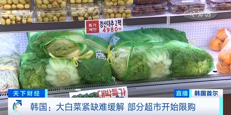 断货、限购，韩国陷“白菜荒”！什么情况？