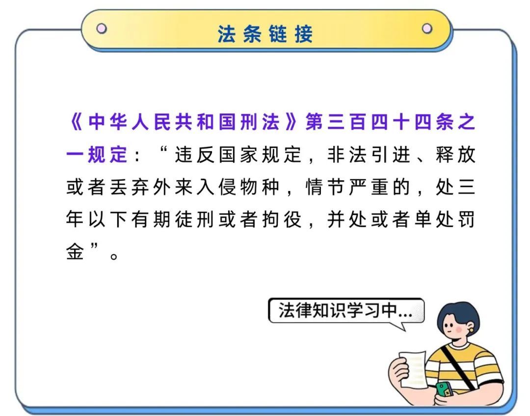 全国首例!男子非法引进外来入侵物种获刑 全国首例!男子非法引进外来入侵物种获刑