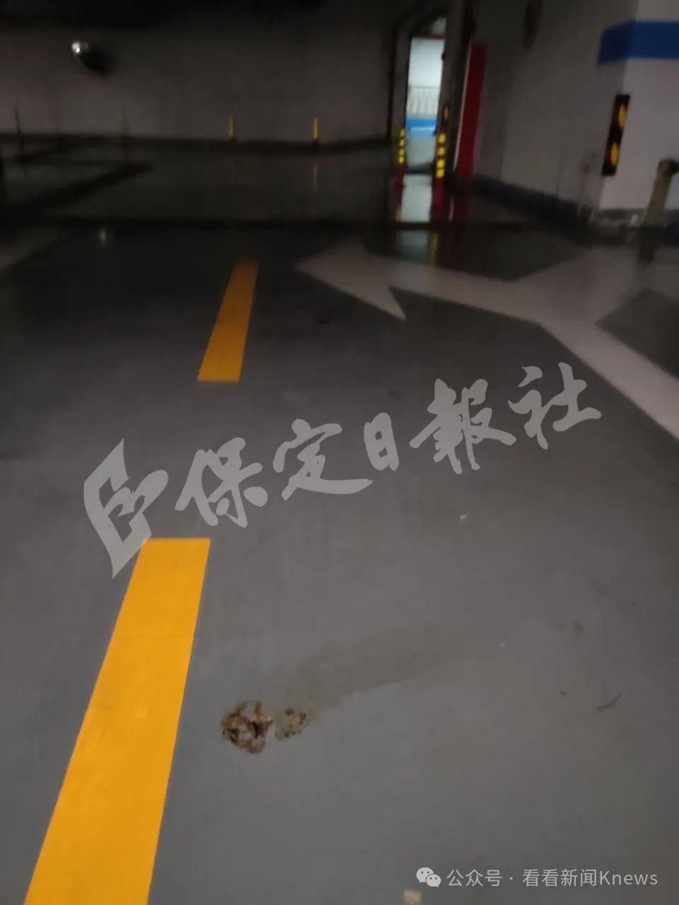 在禁止标语和监控下公然作案 地下车库成狗厕所了?上海一小区居民直呼太恶心! 在禁止标语和监控下公然作案 地下车库成狗厕所了?上海一小区居民直呼太恶心!