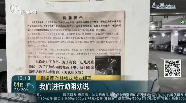 在禁止标语和监控下公然作案 地下车库成狗厕所了?上海一小区居民直呼太恶心! 在禁止标语和监控下公然作案 地下车库成狗厕所了?上海一小区居民直呼太恶心!