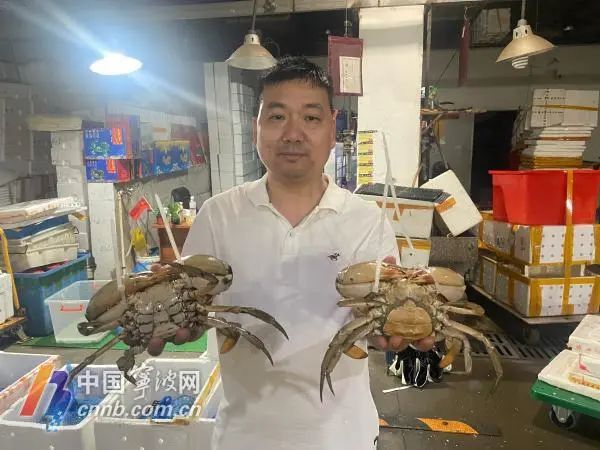 假期临近,梭子蟹、大闸蟹、青蟹批发价终于便宜了! 假期临近,梭子蟹、大闸蟹、青蟹批发价终于便宜了!