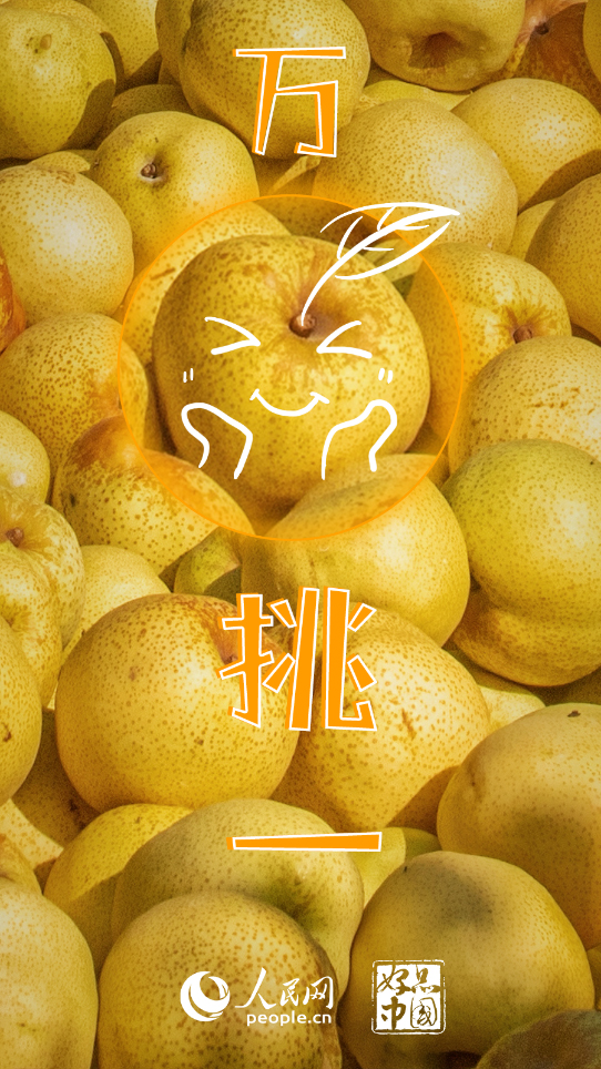 好品中国丨金秋“丰”景,与“梨”相约 好品中国丨金秋“丰”景,与“梨”相约