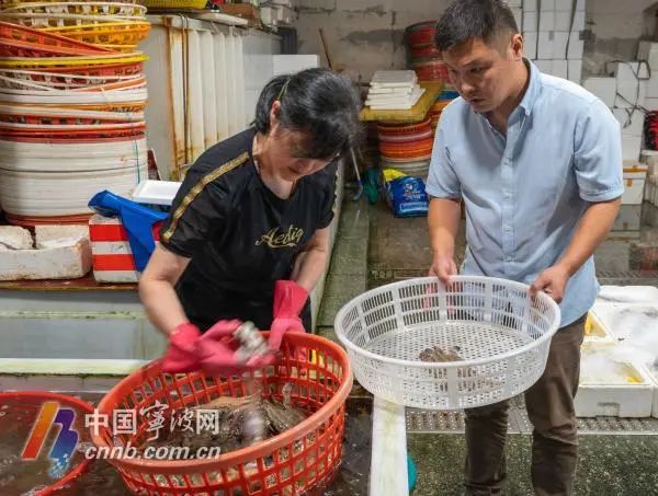 假期临近,梭子蟹、大闸蟹、青蟹批发价终于便宜了! 假期临近,梭子蟹、大闸蟹、青蟹批发价终于便宜了!