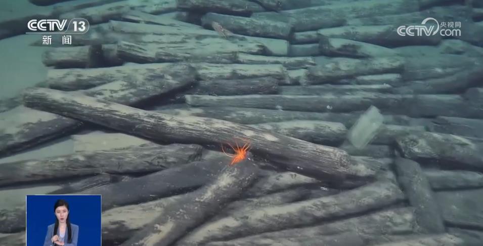 满载珍宝沉睡五百余年！两艘古船带你看古代海上丝绸之路的繁荣