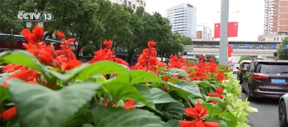 “中国红”扮靓街头巷尾、文旅消费“上新”……国庆佳节临近 氛围感满满 “中国红”扮靓街头巷尾、文旅消费“上新”……国庆佳节临近 氛围感满满