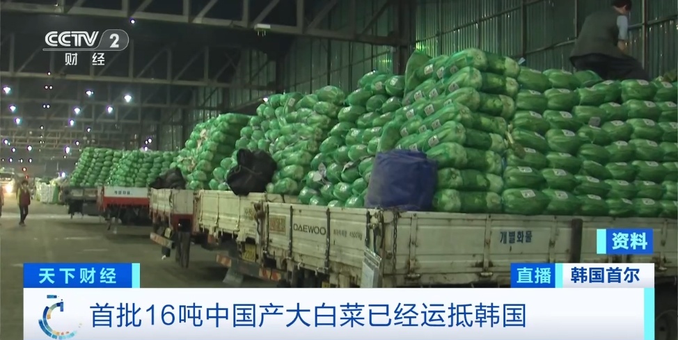 断货、限购，韩国陷“白菜荒”！什么情况？