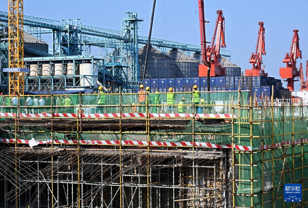 青岛国际邮轮港区：抢抓施工“黄金期” 建设按下“快进键”