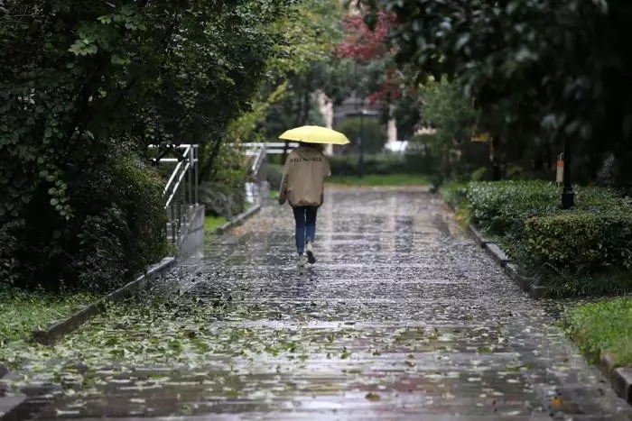 大雨、暴雨！陕西最新预报！