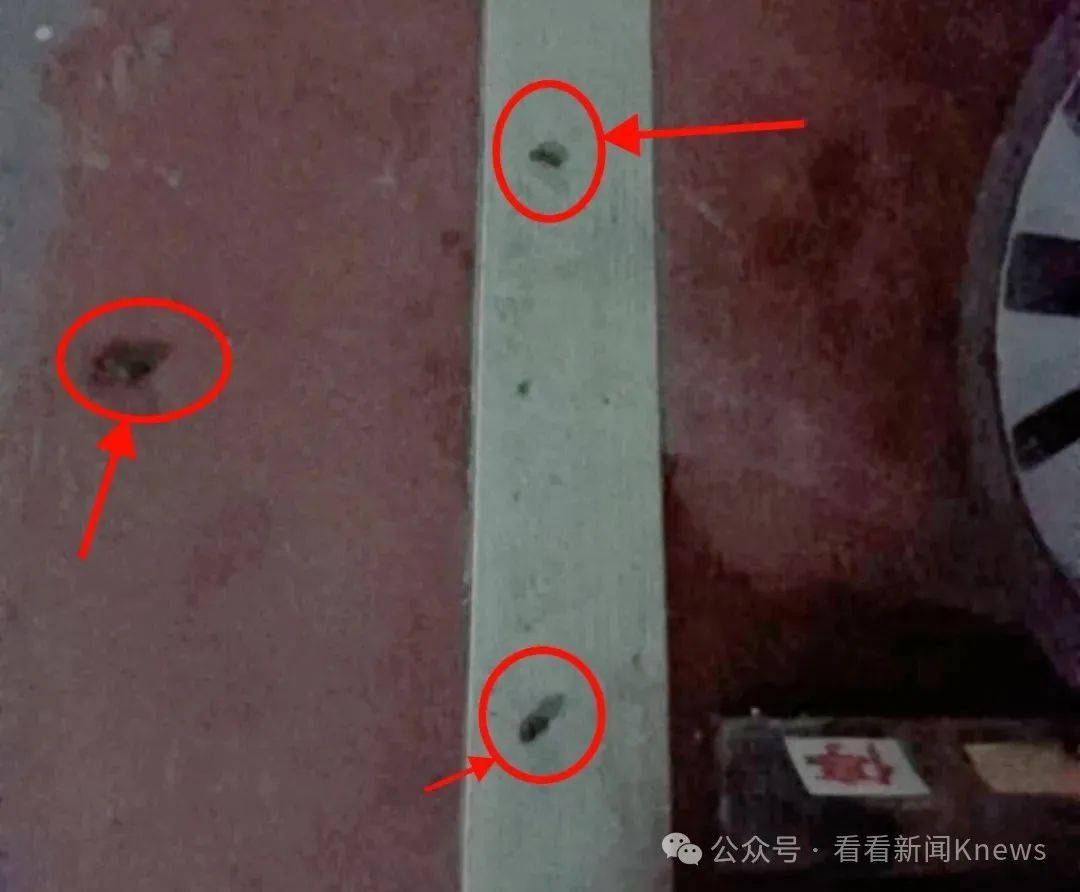 在禁止标语和监控下公然作案 地下车库成狗厕所了?上海一小区居民直呼太恶心! 在禁止标语和监控下公然作案 地下车库成狗厕所了?上海一小区居民直呼太恶心!