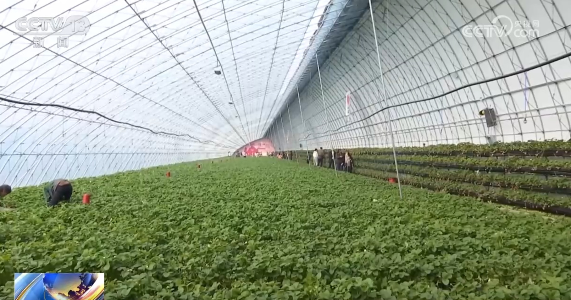 由“交通大国”迈向“交通强国” 我国基础设施建设助力乡村振兴步入“快车道” 由“交通大国”迈向“交通强国” 我国基础设施建设助力乡村振兴步入“快车道”