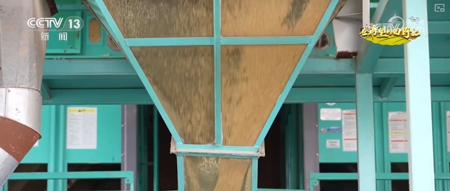 农业实现“隔空把脉” 科技赋能绘就好“丰”景