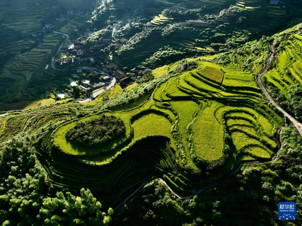 金秋梯田美如画 金秋梯田美如画