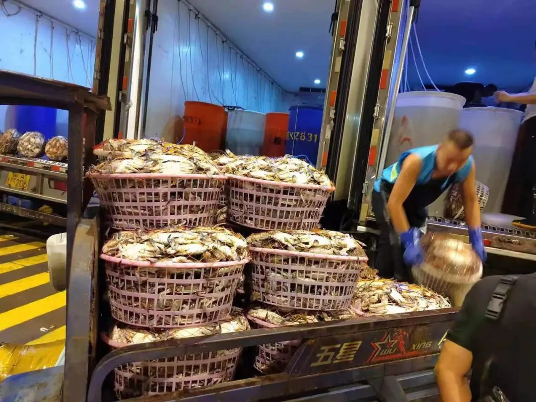价格腰斩！浙江正大量上市！很多人都爱吃...