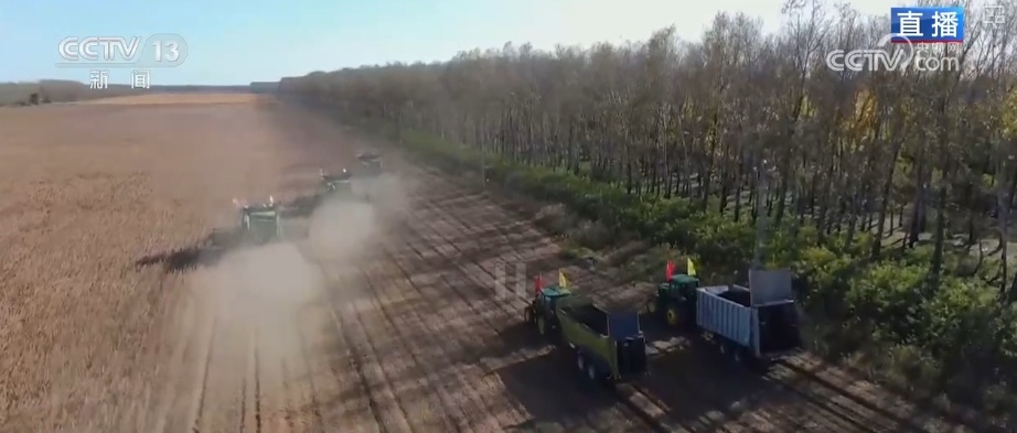 农业实现“隔空把脉” 科技赋能绘就好“丰”景