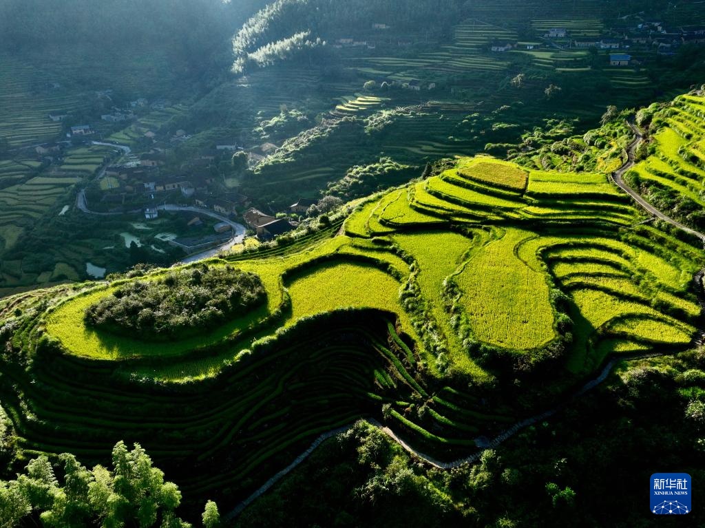 金秋梯田美如画 金秋梯田美如画