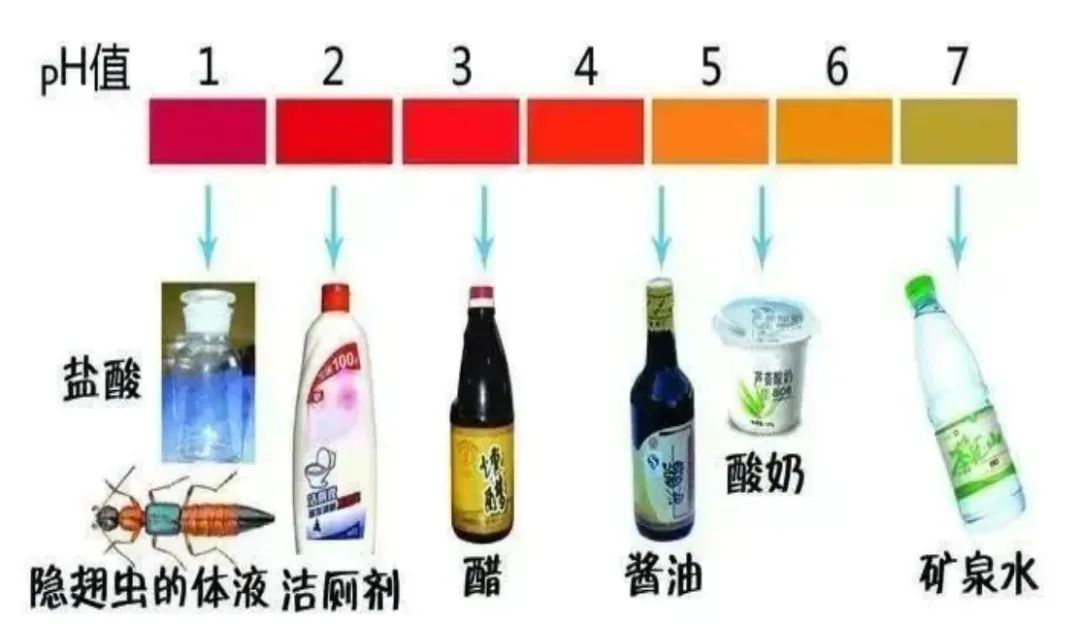 这种虫，千万不要拍→