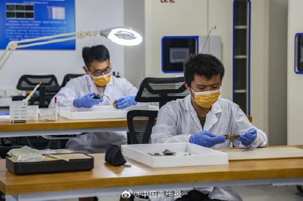 长江口二号古船考古有新进展！