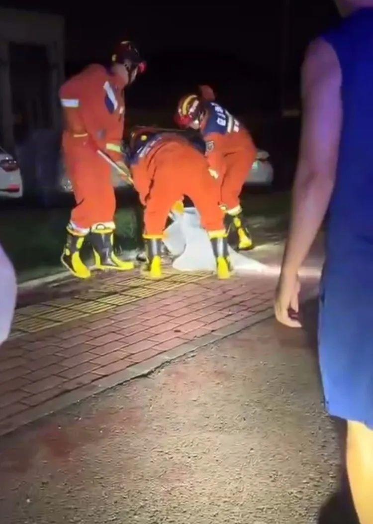 广东一男子被2米长巨蟒死死缠住,警方:男子救出后自行回家,蟒蛇已放生 广东一男子被2米长巨蟒死死缠住,警方:男子救出后自行回家,蟒蛇已放生