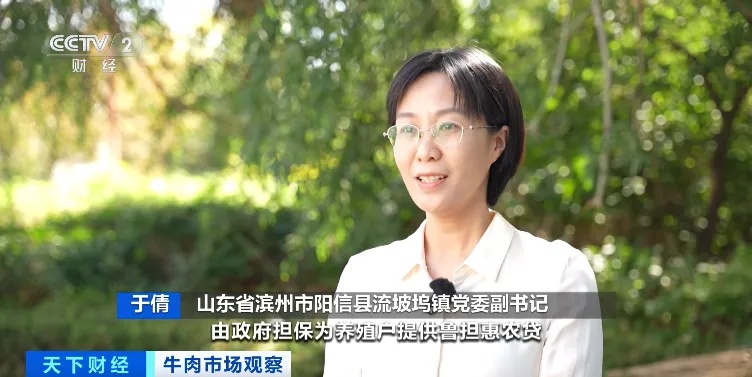 降！降！降！价格大跌，已至近10年最低！哈尔滨人常买